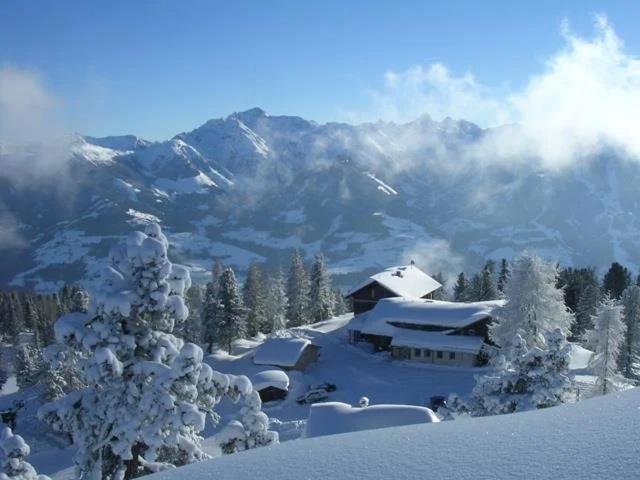 Steinerhaus Berggasthof グレーブミング エクステリア 写真