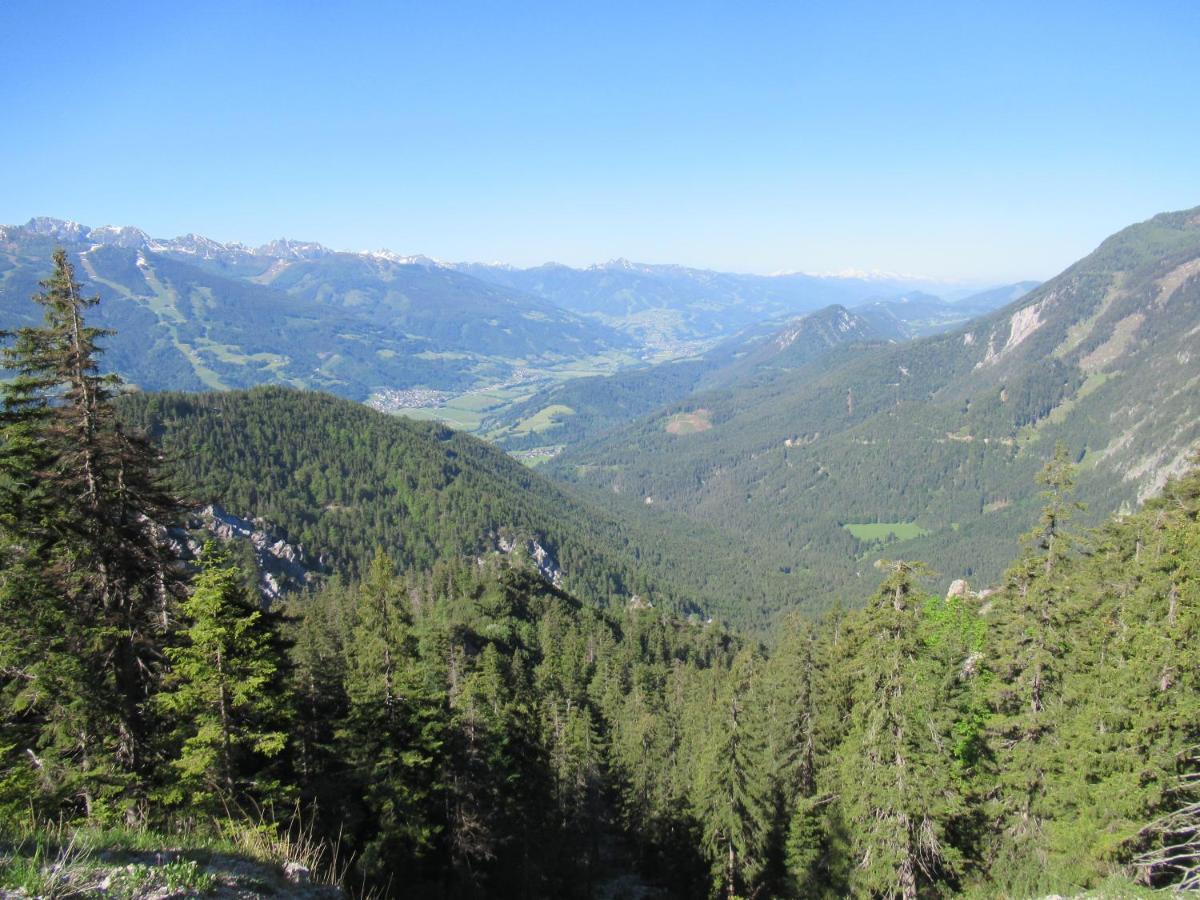 Steinerhaus Berggasthof グレーブミング エクステリア 写真