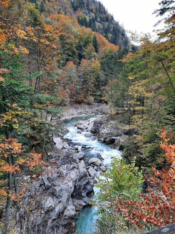 Steinerhaus Berggasthof グレーブミング エクステリア 写真