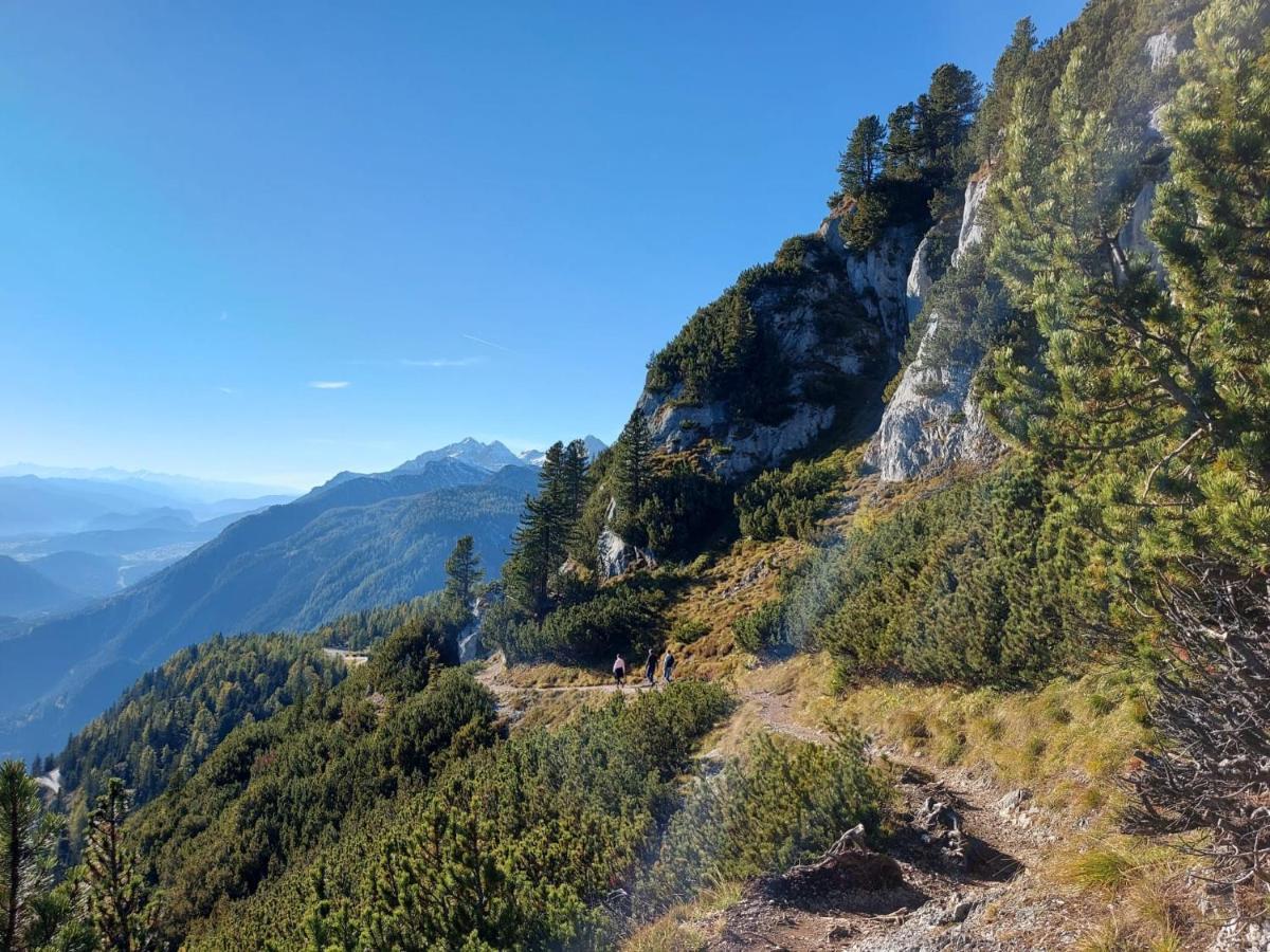 Steinerhaus Berggasthof グレーブミング エクステリア 写真