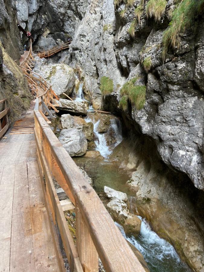 Steinerhaus Berggasthof グレーブミング エクステリア 写真