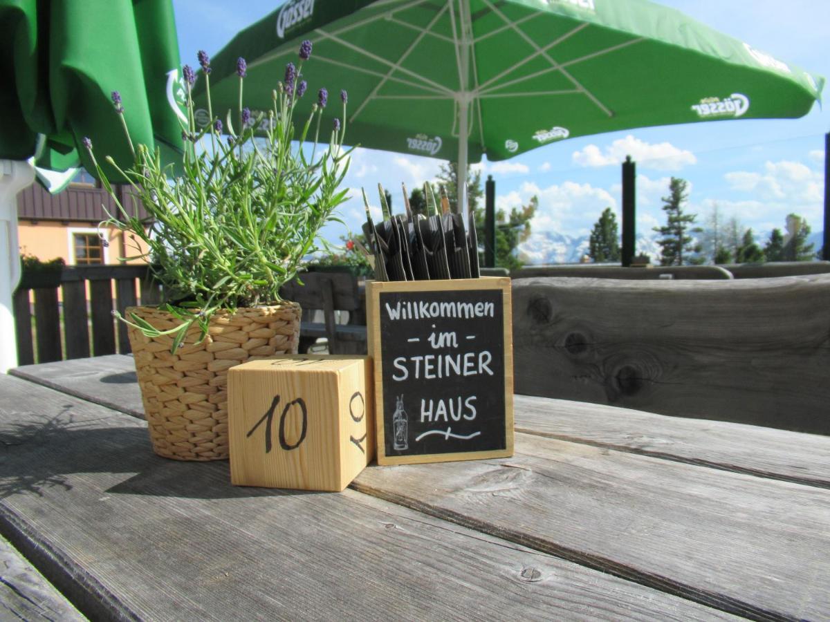 Steinerhaus Berggasthof グレーブミング エクステリア 写真